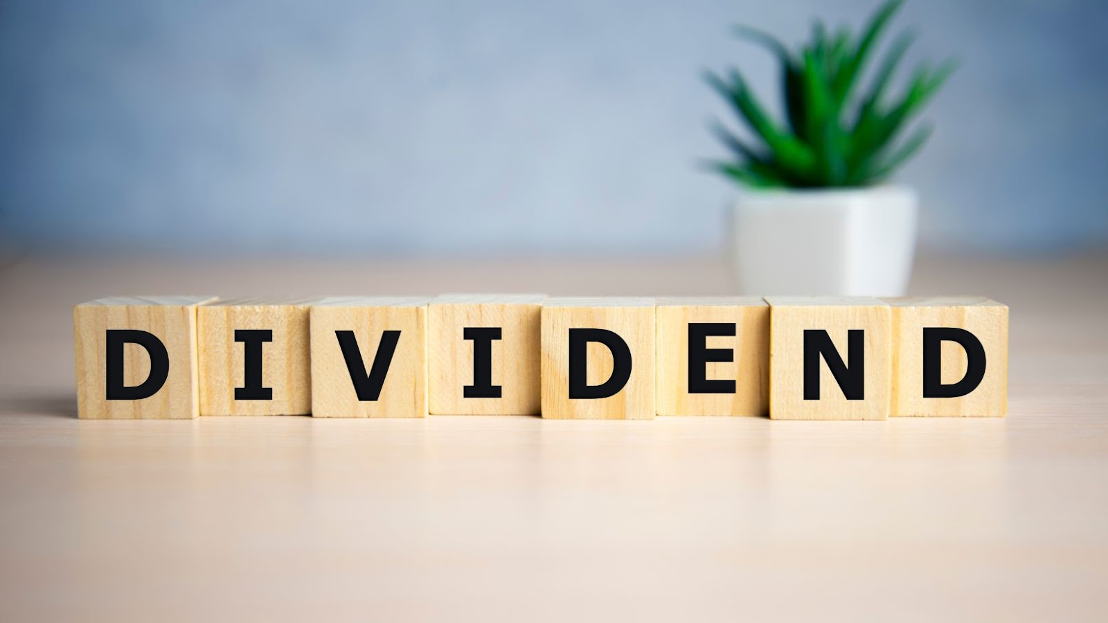 Dividend policy (3)