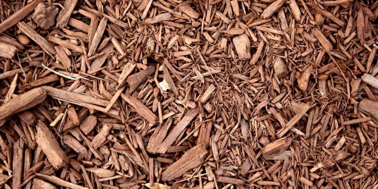 Why You Need Mulch for Your Garden and How to Get It?