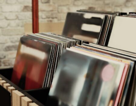 Rack with Different Vinyl Records in Store